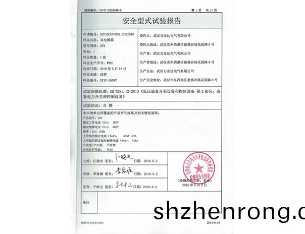 SDY試驗報告2